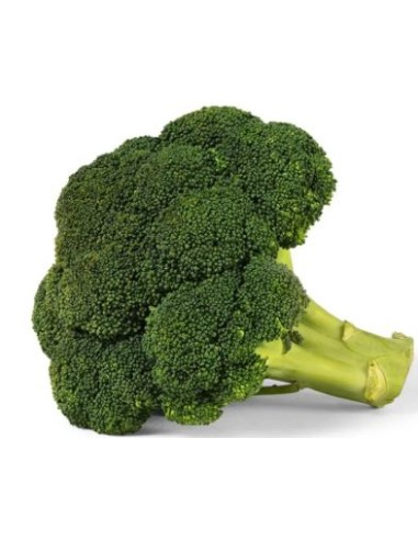 BROCOLI CAT1 LE KILO (ORIG.ESPAGNE)