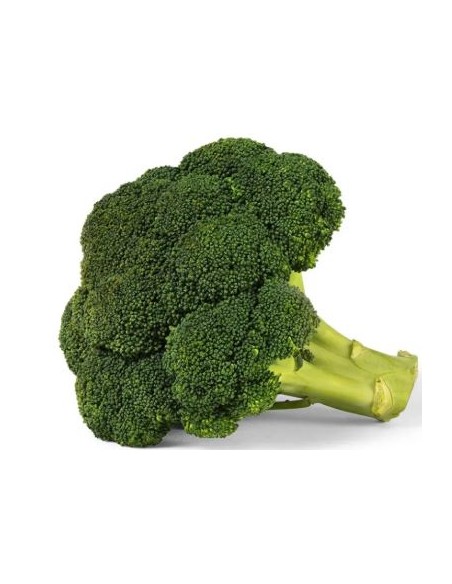 BROCOLI CAT1 LE KILO (ORIG.ESPAGNE)