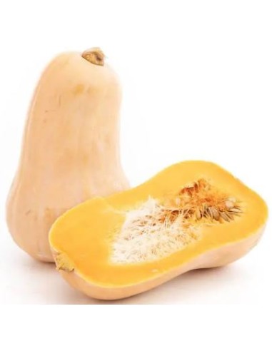 BUTTERNUT CALIB LA PIECE (ORIG.FRANCE)