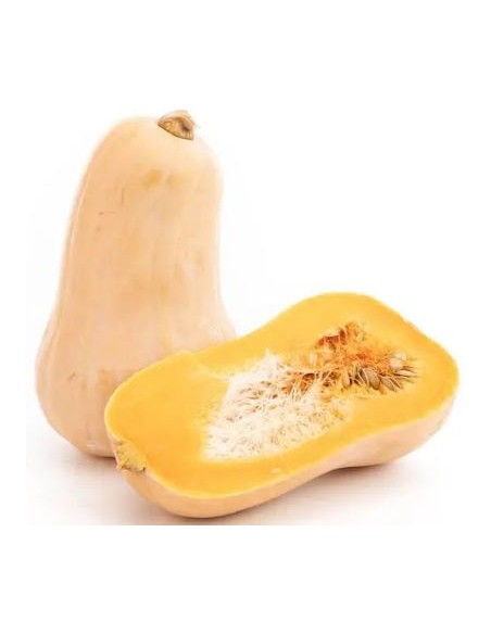 BUTTERNUT CALIB LA PIECE (ORIG.FRANCE)