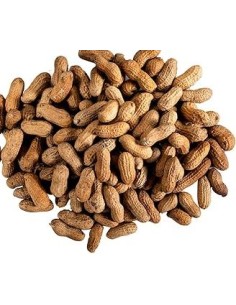 CACAHUETE FRAICHE LE KILO (ORIG.MADAGASCAR)