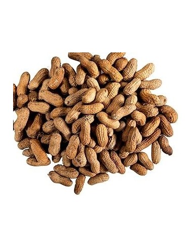 CACAHUETE FRAICHE LE KILO (ORIG.MADAGASCAR)