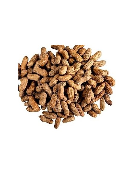 CACAHUETE FRAICHE LE KILO (ORIG.MADAGASCAR)