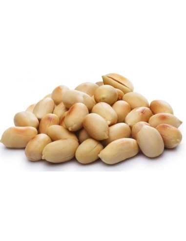 CACAHUETE GRILLEE SANS SEL NONGLAMFOOD 500G*20/CT