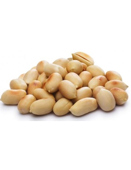 CACAHUETE GRILLEE SANS SEL NONGLAMFOOD 500G*20/CT