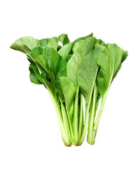 CAI NGOT- CHOISAM LE KILO (ORIG.ESPAGNE)