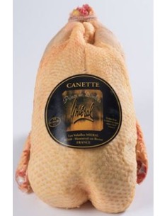 CANETTE 1KG
