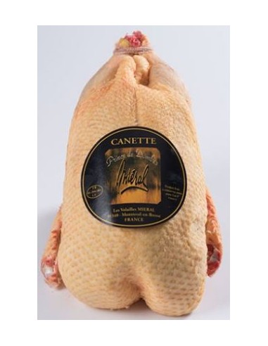 CANETTE 1KG