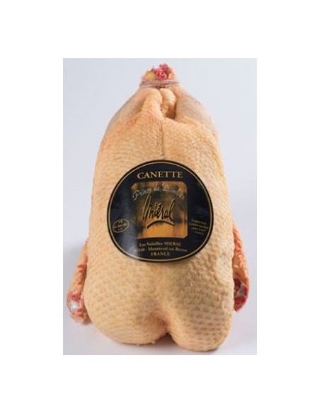 CANETTE 1KG