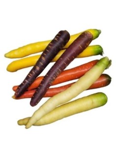 CAROTTE COULEUR MELANGE 1KG (FRANCE)