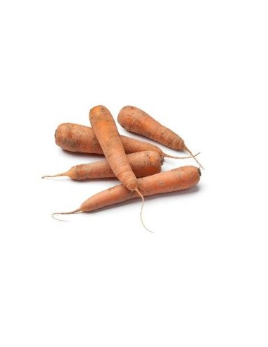 CAROTTE DES SABLES 1KG (FRANCE)