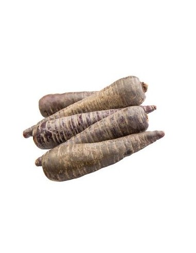 CAROTTE NOIRE 1KG (FRANCE)