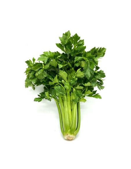 CELERI BRANCHE CAT1 LE KILO (ORIG.ESP)