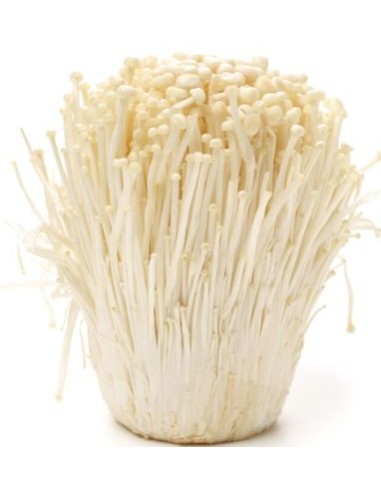 CHAMPIGNON ENOKI LE SACHET 100G (ORIG.CHINE)