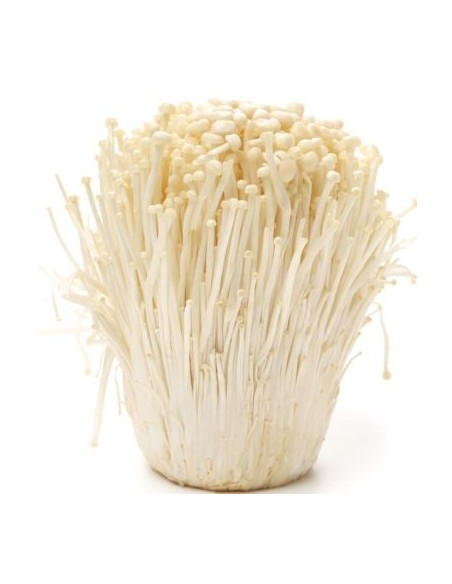 CHAMPIGNON ENOKI LE SACHET 100G (ORIG.CHINE)