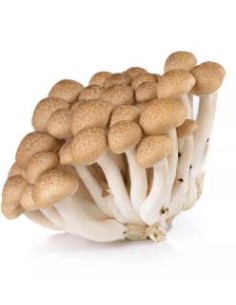 CHAMPIGNON BROWN SHIMEJI 150G