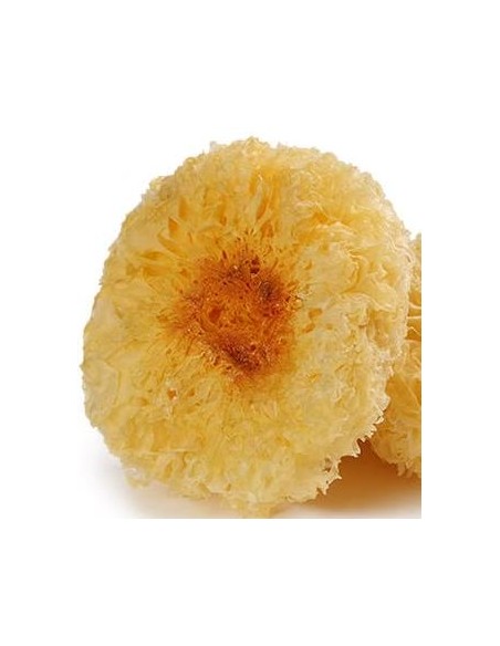 CHAMPIGNON BLANC SECHE GOLDEN LILY FUNGUS 100G