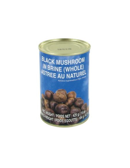 CHAMPIGNON ASTREE COQ 425G*24/CT
