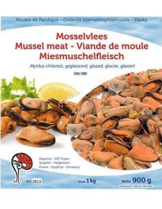 CHAIR MOULE 200/300 900G