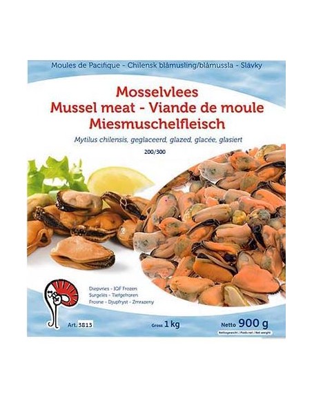 CHAIR MOULE 200/300 900G