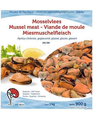 CHAIR MOULE 100/200 1KG*10/CT