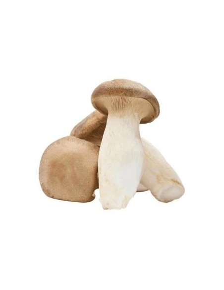 CHAMPIGNON OYSTER LE SACHET 200G  (ORIG.CHINE)