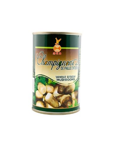 CHAMPIGNON PAILLE EAGLOBE 425G*24/CT