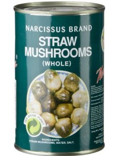 CHAMPIGNON PAILLE M.ASIE 425G*24/CT