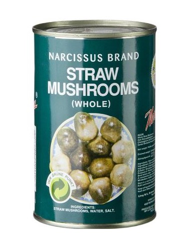 CHAMPIGNON PAILLE M.ASIE 425G*24/CT