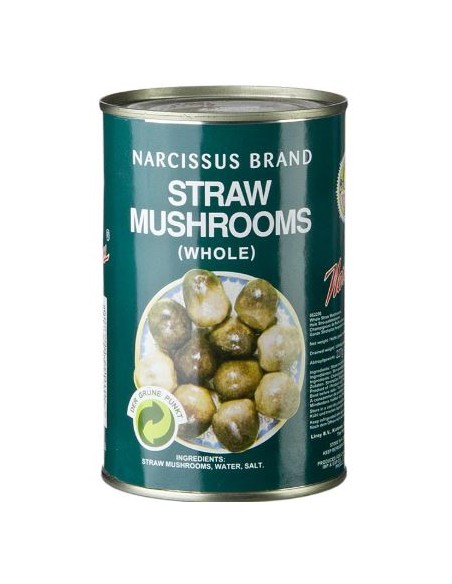 CHAMPIGNON PAILLE M.ASIE 425G*24/CT