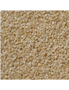 GRAIN SESAME NOIR EAGLOBE 227G*50/CT