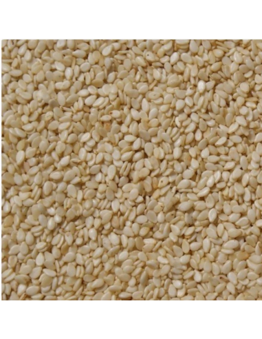 GRAIN SESAME BLANC COQ 454G*50/CT