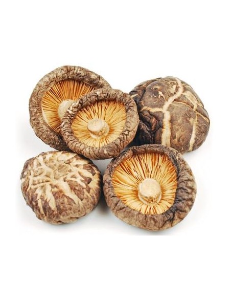 CHAMPIGNON PARFUME TAILLE M D.PANDA 1KG*5/CT