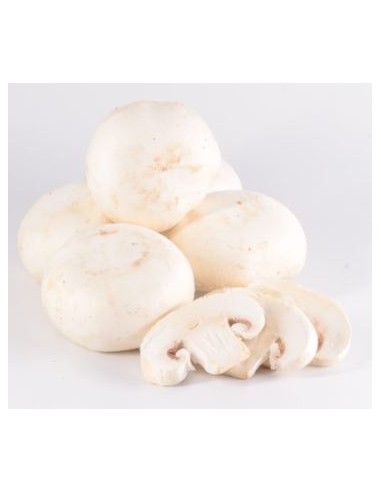 CHAMPIGNON PARIS BLANC CAT1 250G (FRANCE)
