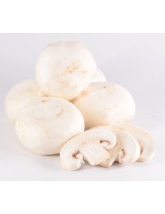 CHAMPIGNON PARIS BLANC GEANT CAT1 LE KILO (ORIG.POLOGNE)