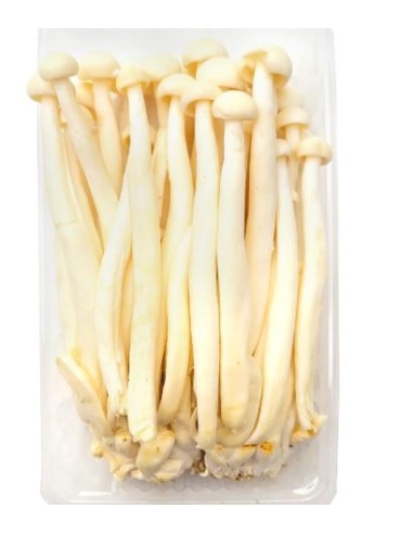 CHAMPIGNON SEAFOOD LE SACHET 150G (ORIG.CHINE)