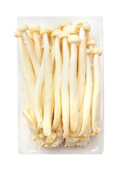 CHAMPIGNON SEAFOOD LE SACHET 150G (ORIG.CHINE)