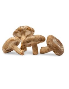 CHAMPIGNON SHIITAKE CAT1 LE KILO (ORIG.CHINE)