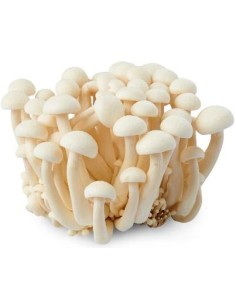 CHAMPIGNON SHIMEJI BLANC LE SACHET 150G (ORIG.CHINE)