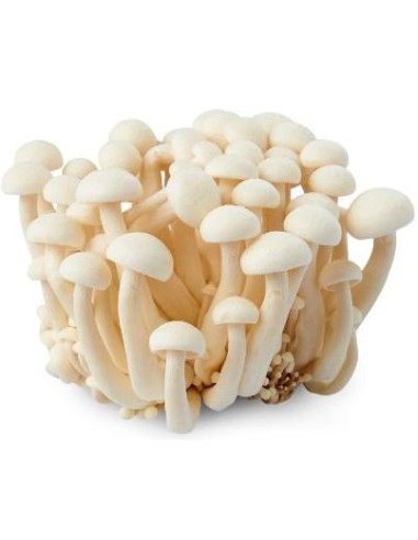 CHAMPIGNON SHIMEJI BLANC LE SACHET 150G (ORIG.CHINE)