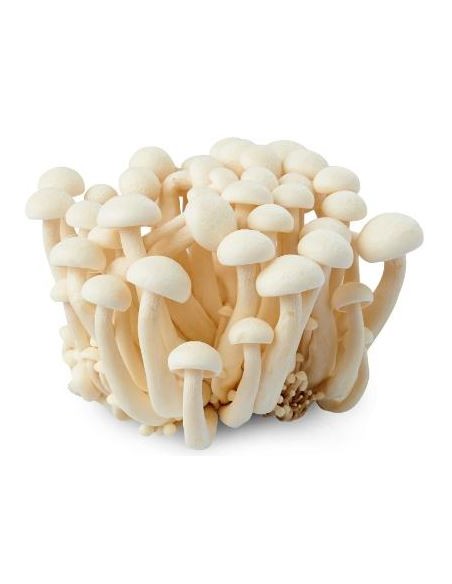 CHAMPIGNON SHIMEJI BLANC LE SACHET 150G (ORIG.CHINE)