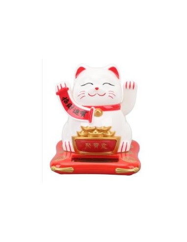 CHAT PLUTUS SOLAIRE 1PIECE