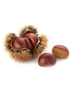 CHATAIGNE 1KG