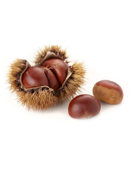 CHATAIGNE 1KG