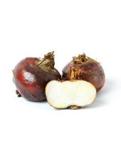 CHATAIGNE D'EAU COUPE M.ELEP 3KG