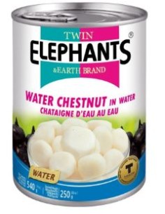 CHATAIGNE D'EAU ELEPHANT 540G*24/CT