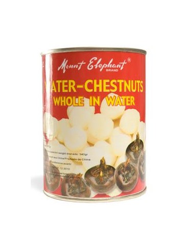 CHATAIGNE D'EAU M.ASIE 567G*24/CT