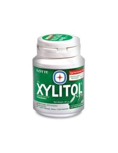 CHEWING GUM MENTHE XYLITOL LOTTE 58G