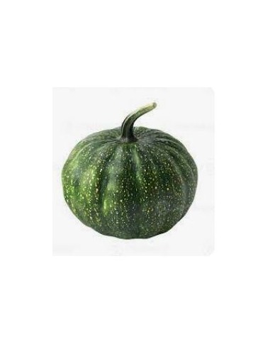CITROUILLE VERTE LE KILO (ORIG.ESPAGNE)