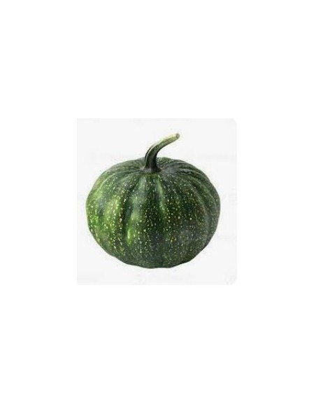 CITROUILLE VERTE LE KILO (ORIG.ESPAGNE)